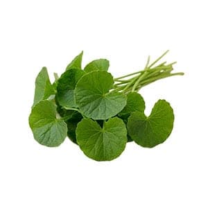 Centella Asiatica Extract