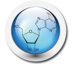 Adenosine