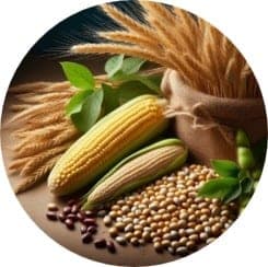 Wheat protein, corn protein, soy protein