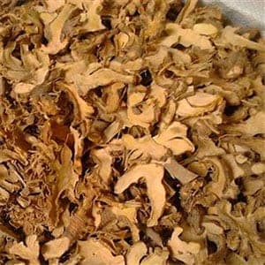 Belamcanda Chinensis Root Extract