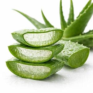 Aloe Barbadensis Leaf Extract