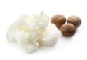 Butyrospermum Parkii (Shea) Butter
