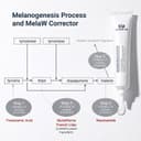 Mela W Corrector 20ml thumbnail 3