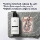 Peptino Shampoo bottle next to a hair follicle diagram, listing key ingredients: Caffeine, Biotin, and Peptides.
