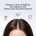 Peptino Shampoo promo showing a healthy scalp part with icons representing relief from stress, pollution, and heat.